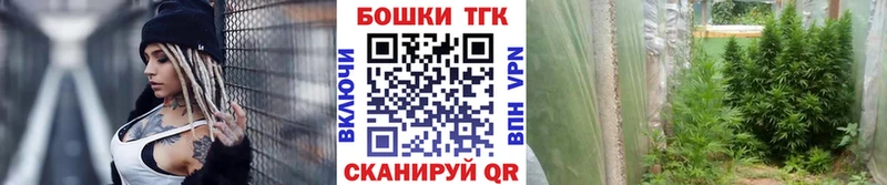 Конопля планчик Нерчинск